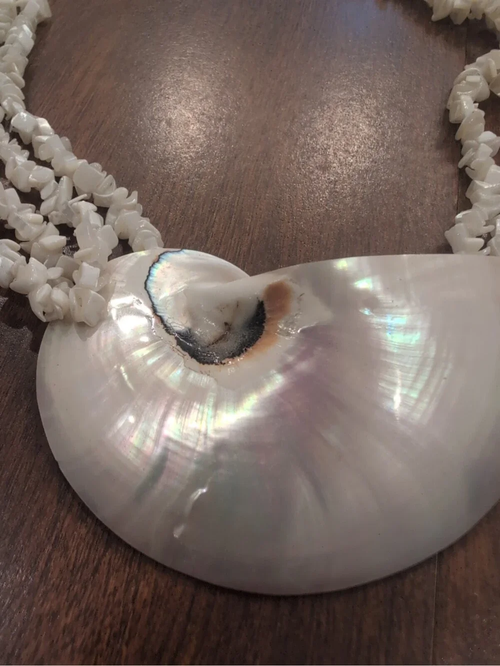 Vintage Multi Strand Mother of Pearl Nautilus Shell Statement Necklace